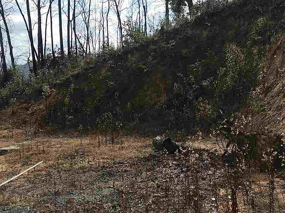 2nd image of 955 Chestnut Dr