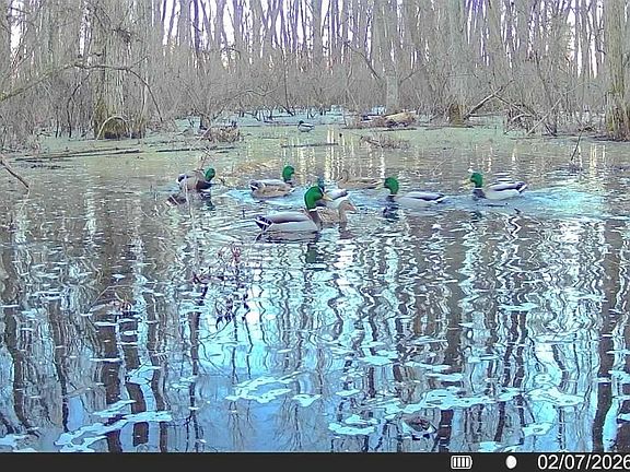 4th image of 483 Phillips Rd #131