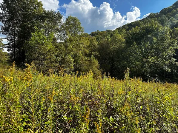 0 Battle Branch Rd, Bakersville, NC 28705