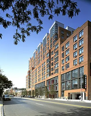 Rented by Two Trees | media 4