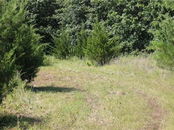 LOT 3 SW Brangus Rd, Lathrop, MO 64465
