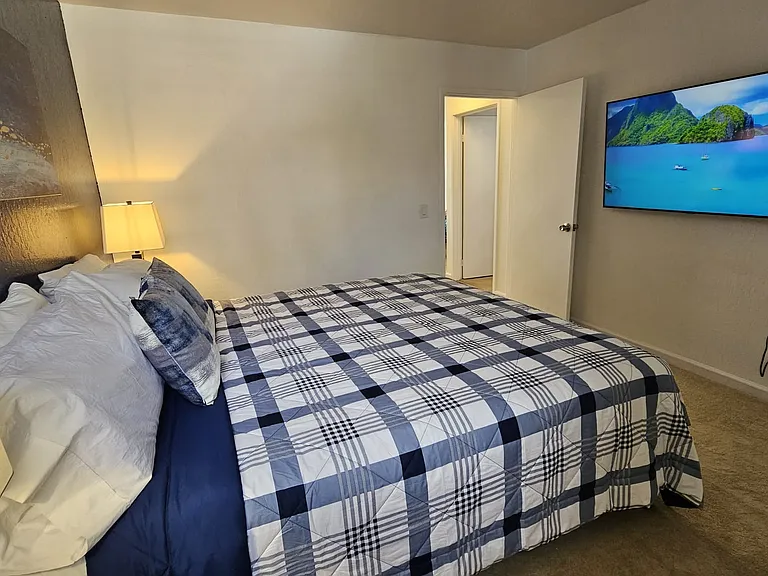 Primary Bedroom - Giant streaming TV, DVR, Remote Controls