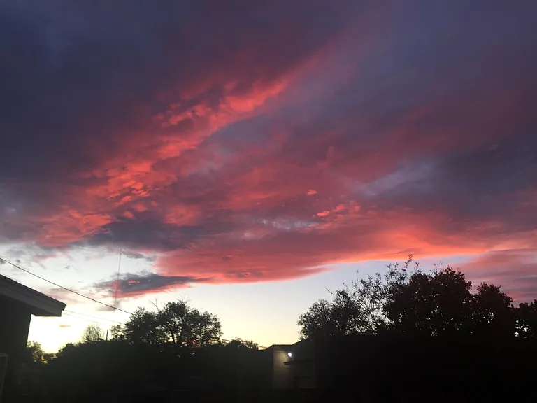 View from front door.