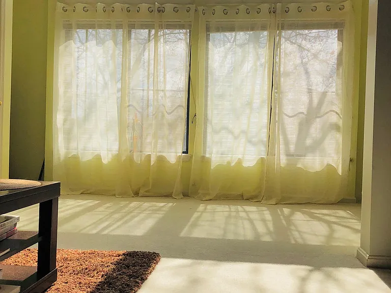 Sunroom faces the trees in the courtyard.