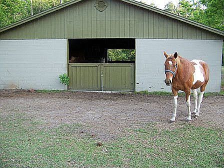 Concrete Block 5 stall Barn