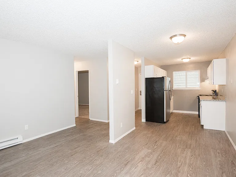 Open Concept Kitchen and Living Room