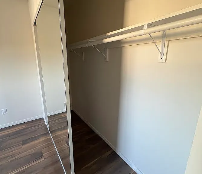 Closet in the bedroom