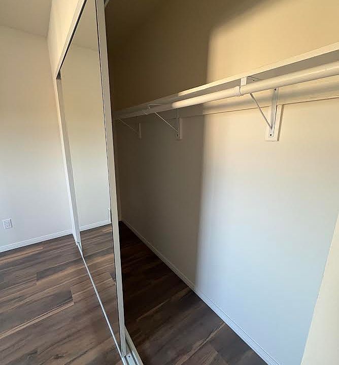 Closet in the bedroom