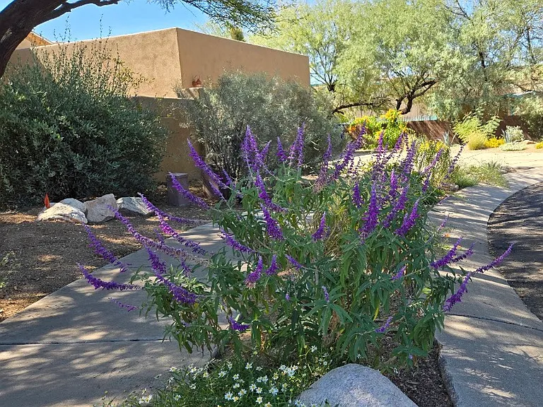 1382 E English Ivy Ct — Photo 12