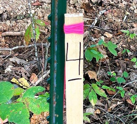 5th image of 4 Pleasant Hill Rd