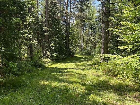 5th image of 0 Mulligan Creek Road
