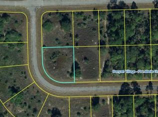 205 John Young Ter, Labelle, FL 33935