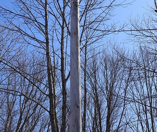 5th image of 148 Flaherty Rd