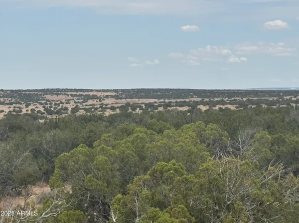 Lot 99 Carrizo Ranch -- #99, St Johns, AZ 85936