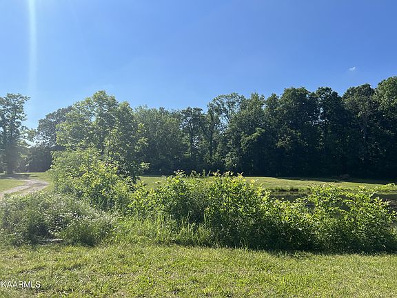 5th image of 12555 Pittman Dr