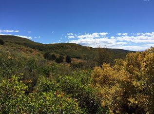 Tbd 3100 Road Big Rock Rd, Hotchkiss, CO 81419