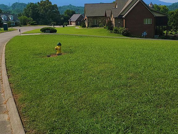 3rd image of 1561 Mint Meadows Dr