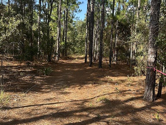 5th image of 0 Pineknot Rd