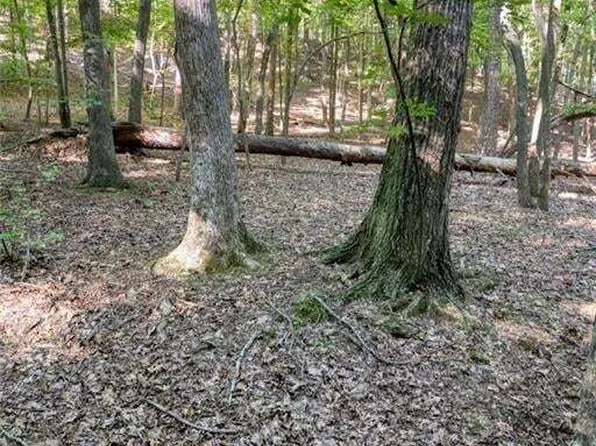 90 Cardinal Cv, Big Canoe, GA 30143
