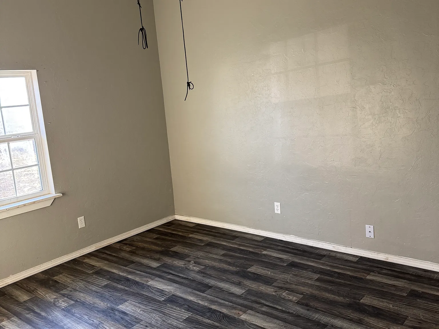 1 bed, $750 — Photo 4