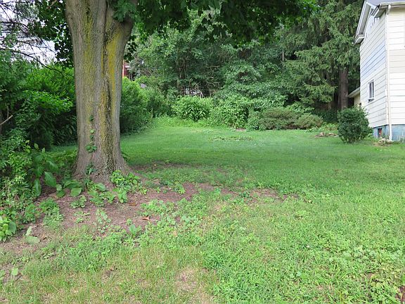 Yard (left of house)