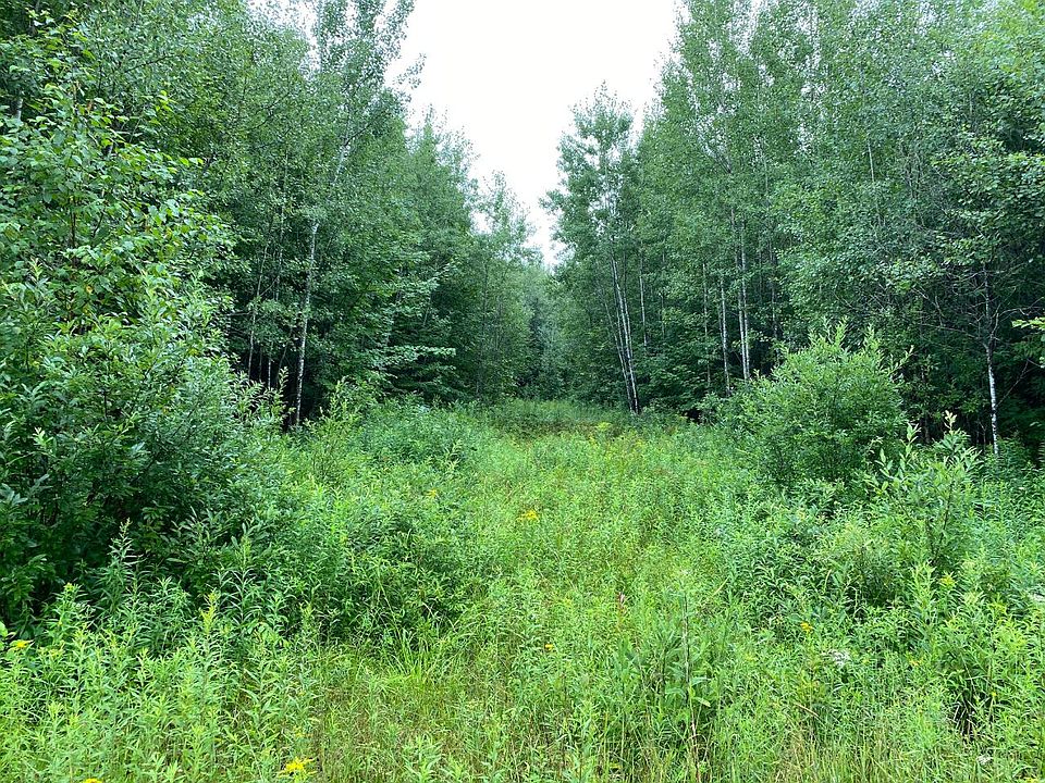 2nd image of Joe Snow Rd