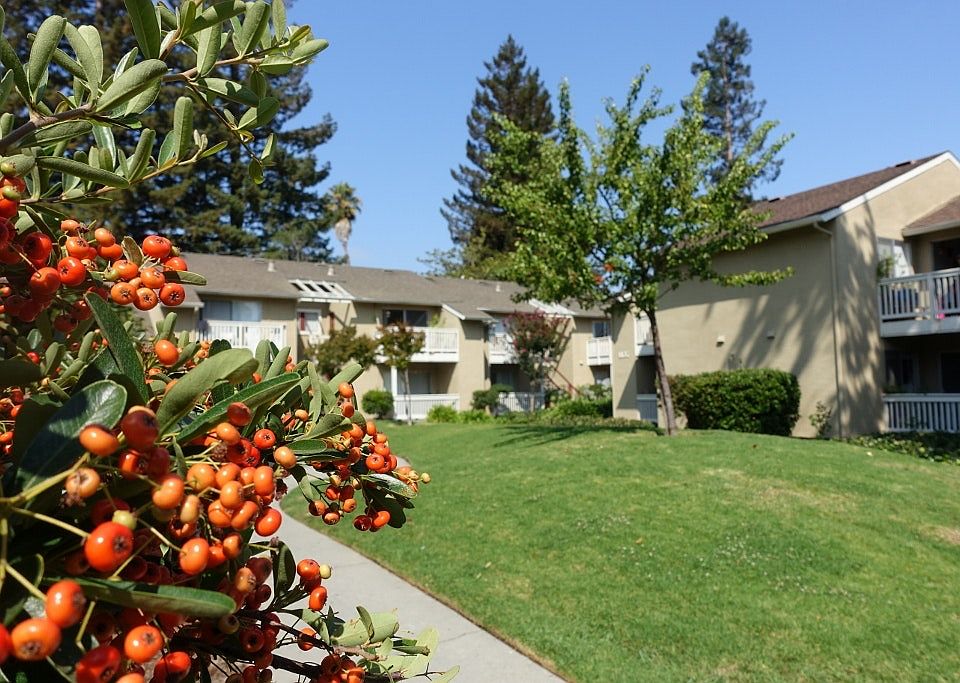 1st image of 1129 Miramar Way APT 33