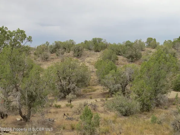LOT 3A Road 2950, Aztec, NM 87410