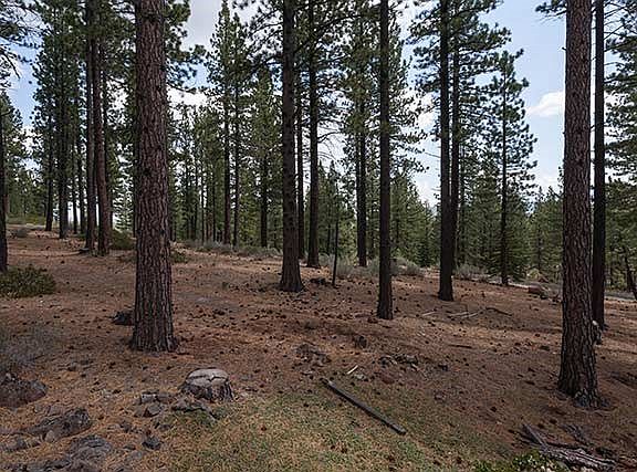 5th image of 7779 Lahontan Dr