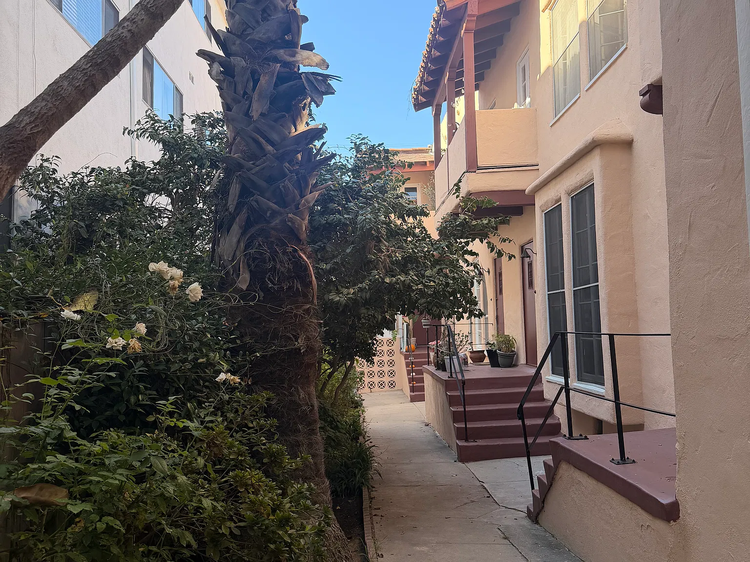 1 bed, 850 sqft, $3,200 — Photo 2