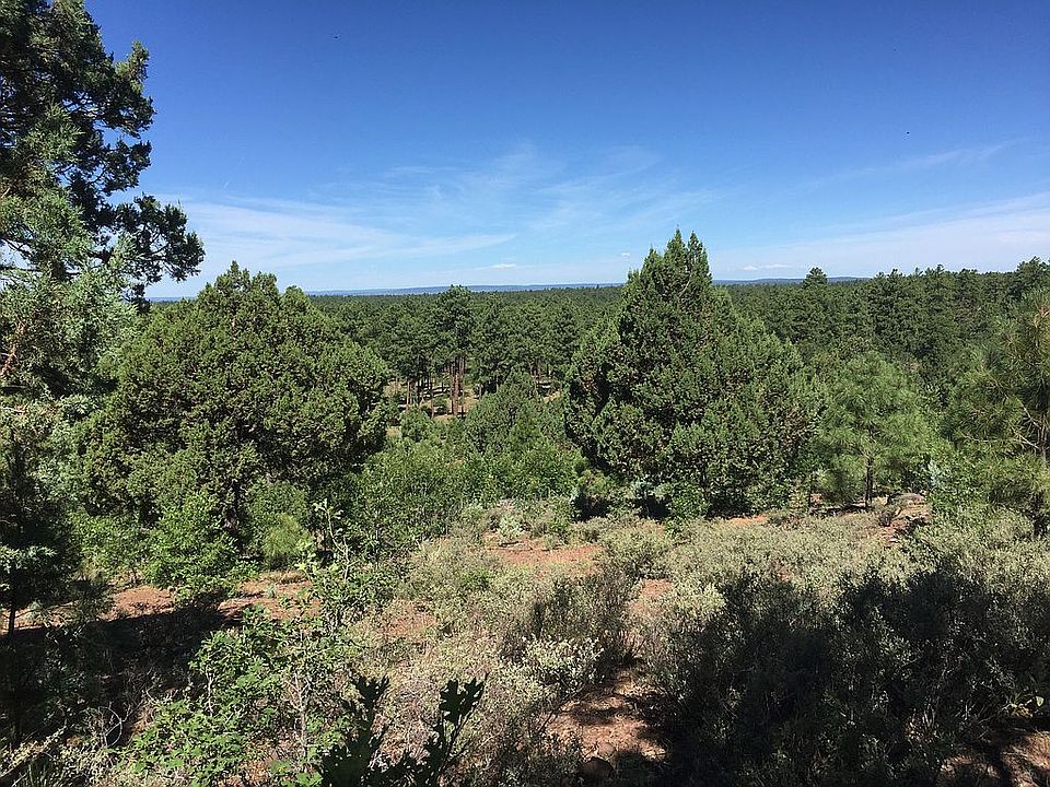 2nd image of 1831 E Rim Rd
