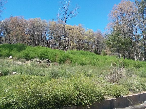 4th image of 11213 Loch Lomond Rd