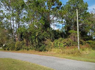 36 Buffalo Meadow Ln, Palm Coast, FL 32137