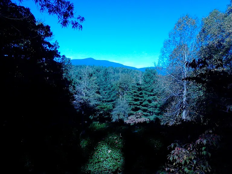 Taylor Creek Rd — Photo 6