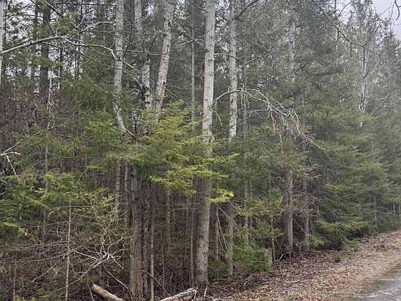 3rd image of LOT 192 Sunaqua Dr