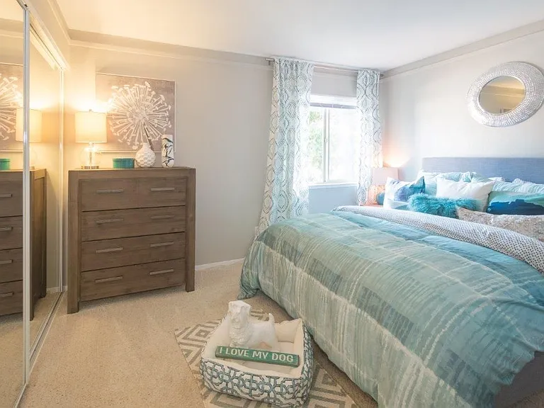 Ventana Apartments — Photo 8