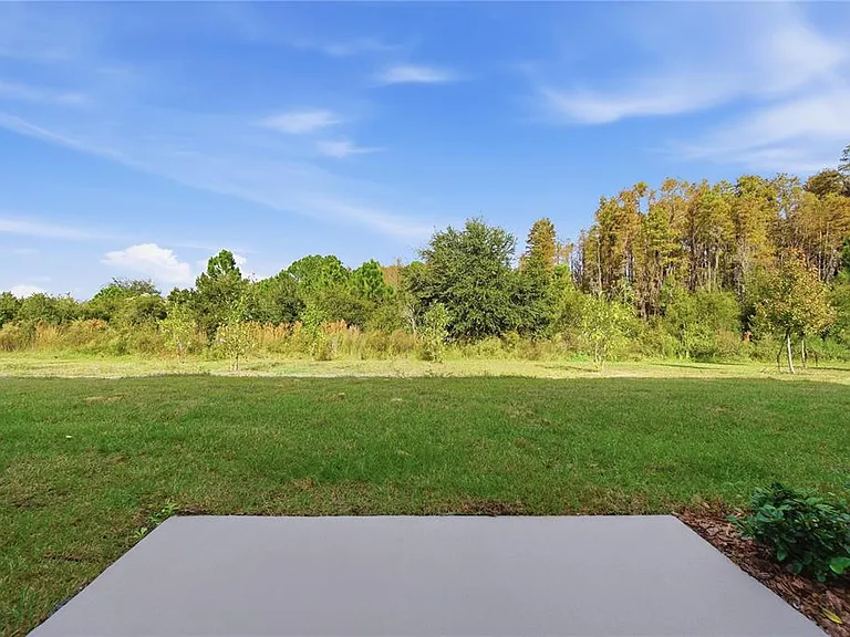 32497 Midsummer Night Ln — Photo 10