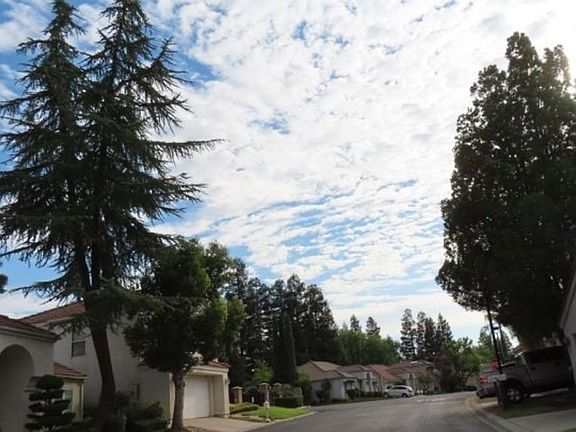 Exterior Neighborhood (street photo)