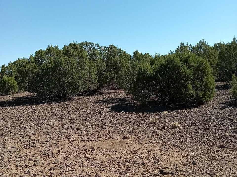 2nd image of County Road 3193 Lot 258