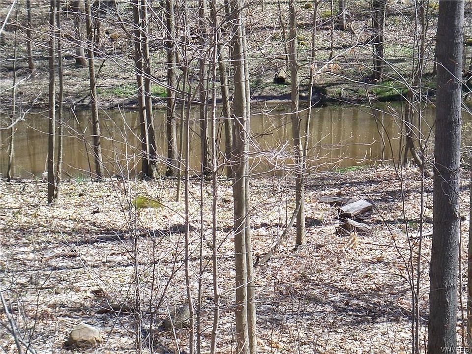 2nd image of 8434 Forest Rd