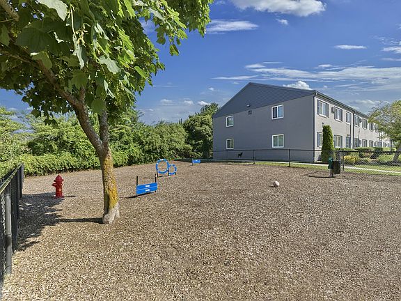 Our 4 legged friends love their own space