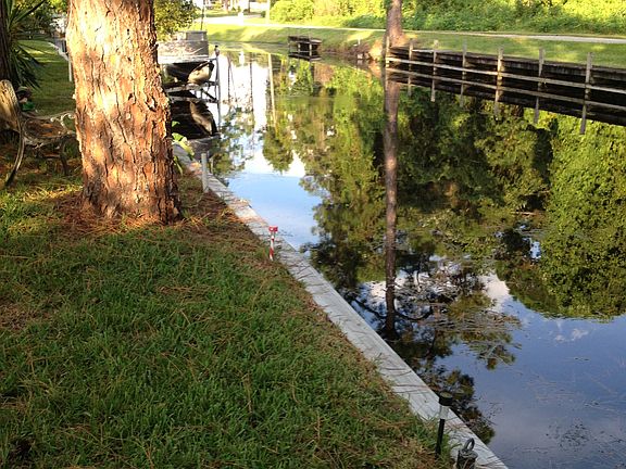 2nd image of 134 Pine Tree Dr