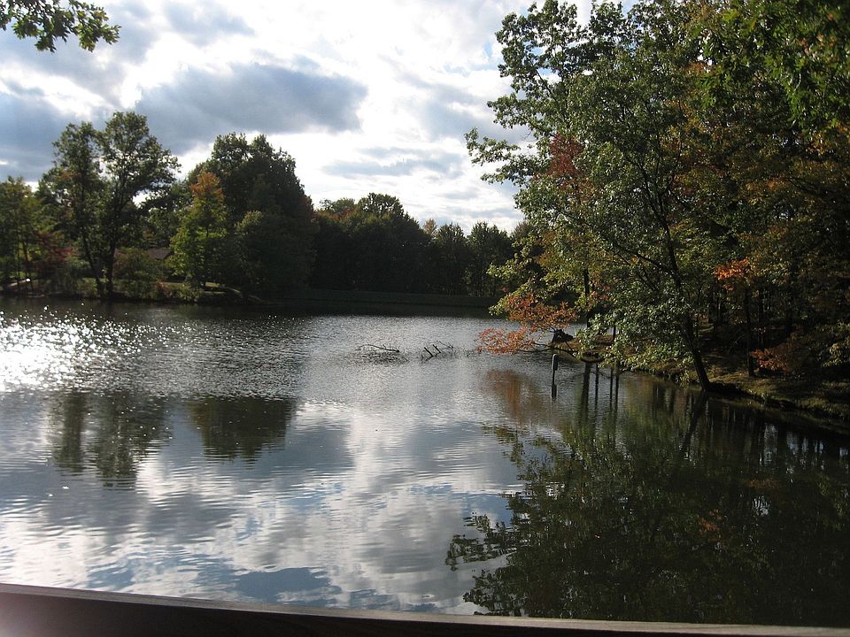2nd image of 3777 Martha Rd