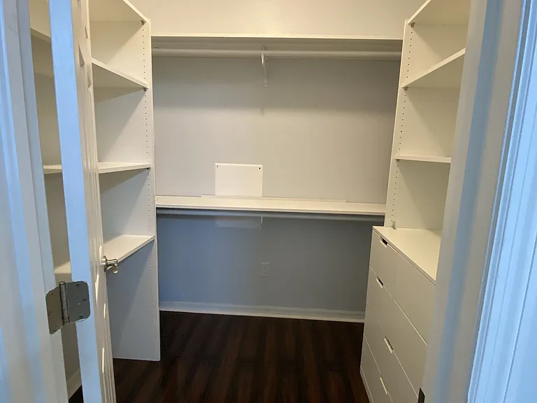 Primary closet with built ins