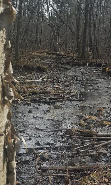 2nd image of 1969 Twelve Mile Rd NE