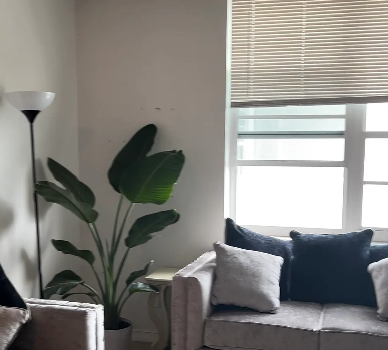 1 bed, 550 sqft, $2,500 — Photo 1