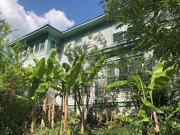 Beautiful Banana Trees and azelas. This apartment is in a giant house separated into 4 completely separate apartments