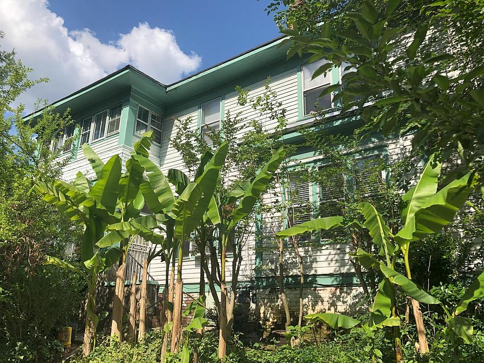Beautiful Banana Trees and azelas. This apartment is in a giant house separated into 4 completely separate apartments