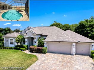 3464 Misty View Dr, Spring Hill, FL 34609