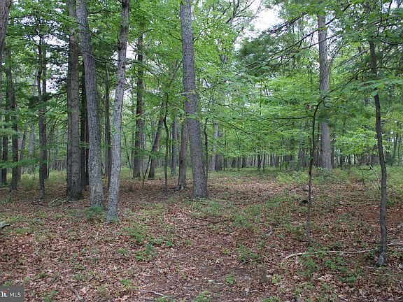 3rd image of 12 Evergreen Farms Dr